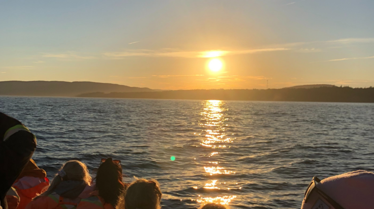 Whale watching with Kristýna